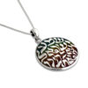 Colourful Enamel 925 Sterling Silver Shema Israel Necklace