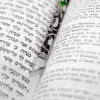 Mazak Colorful Enameled Torah Pointer
