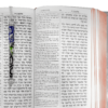 Mazak Colorful Enameled Torah Pointer