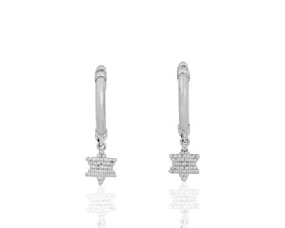 14k gold Star of David (Magen David) earrings elegant