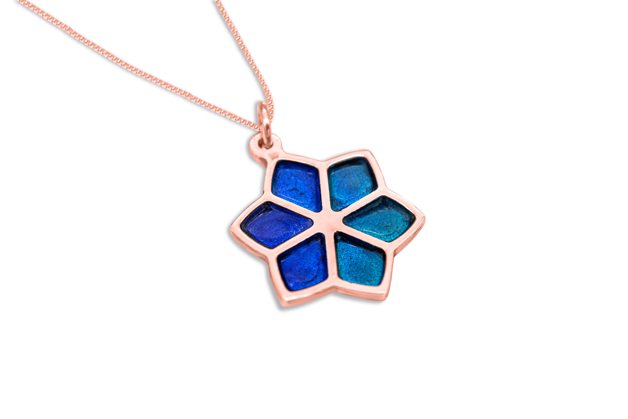 Nature Inspired Gold Star of David Pendant