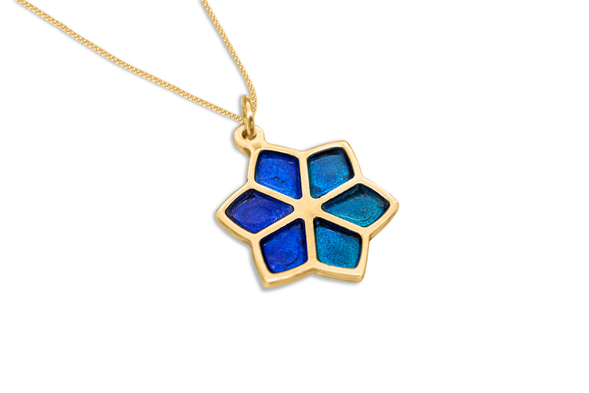 Nature Inspired Gold Star of David Pendant