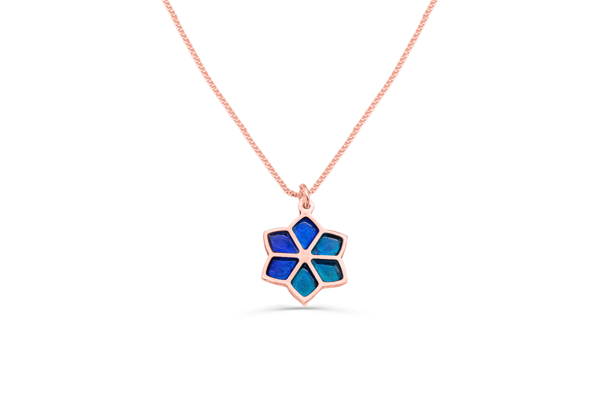 Nature Inspired Gold Star of David Pendant