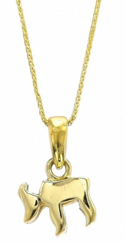 Small and Stunning 14K Gold Chai Pendant