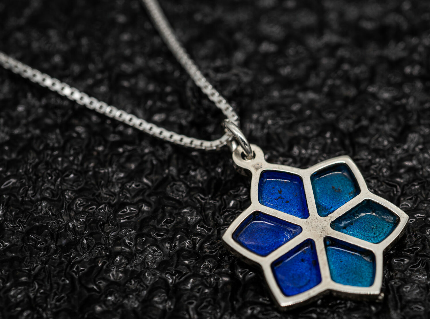 Nature Inspired Magen David Enamel and Silver Pendant