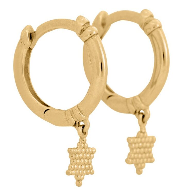 14k gold Star of David (Magen David) earrings elegant
