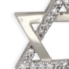 Flashy Star of David Pendant- Diamond/Gold