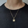 Phenomenal Star of David Pendant- Diamond/Gold