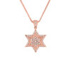 Phenomenal Star of David Pendant- Diamond/Gold