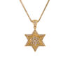 Phenomenal Star of David Pendant- Diamond/Gold
