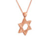 Amazing White Gold Star of David Pendant
