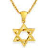 Amazing White Gold Star of David Pendant
