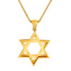 Incredible Gold Star of David Pendant