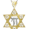Extra Large 14K Gold Star of David with Chai Pendant