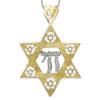 Chai and Star of David 14K Gold Unique Pendant