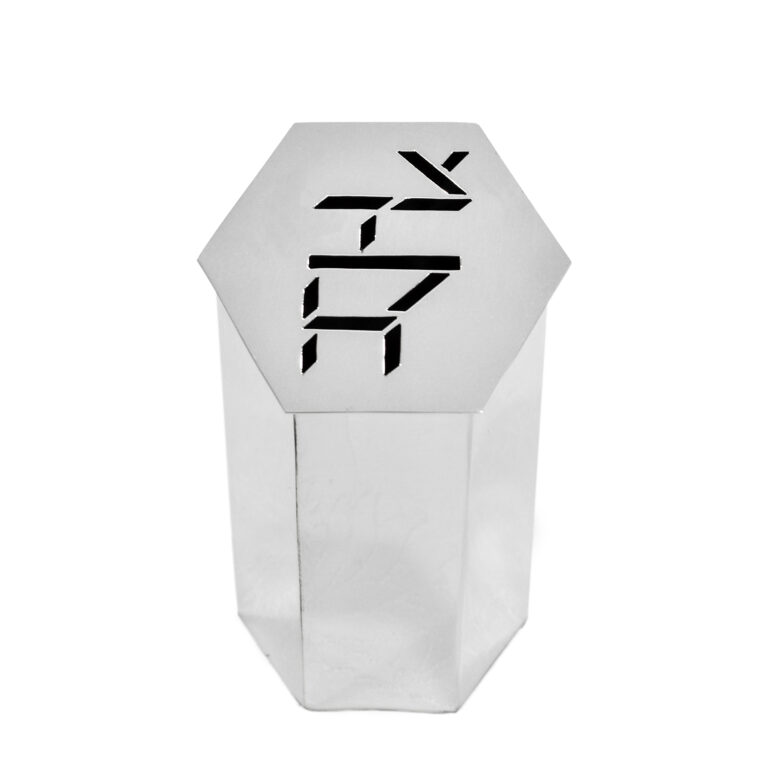 Special Shape Silver Tzedakah Box