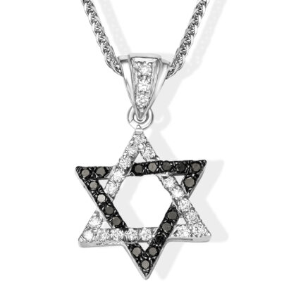 Tiny Modern Black and White Diamond Jewish Star Necklace