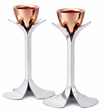 Rose Gold Top